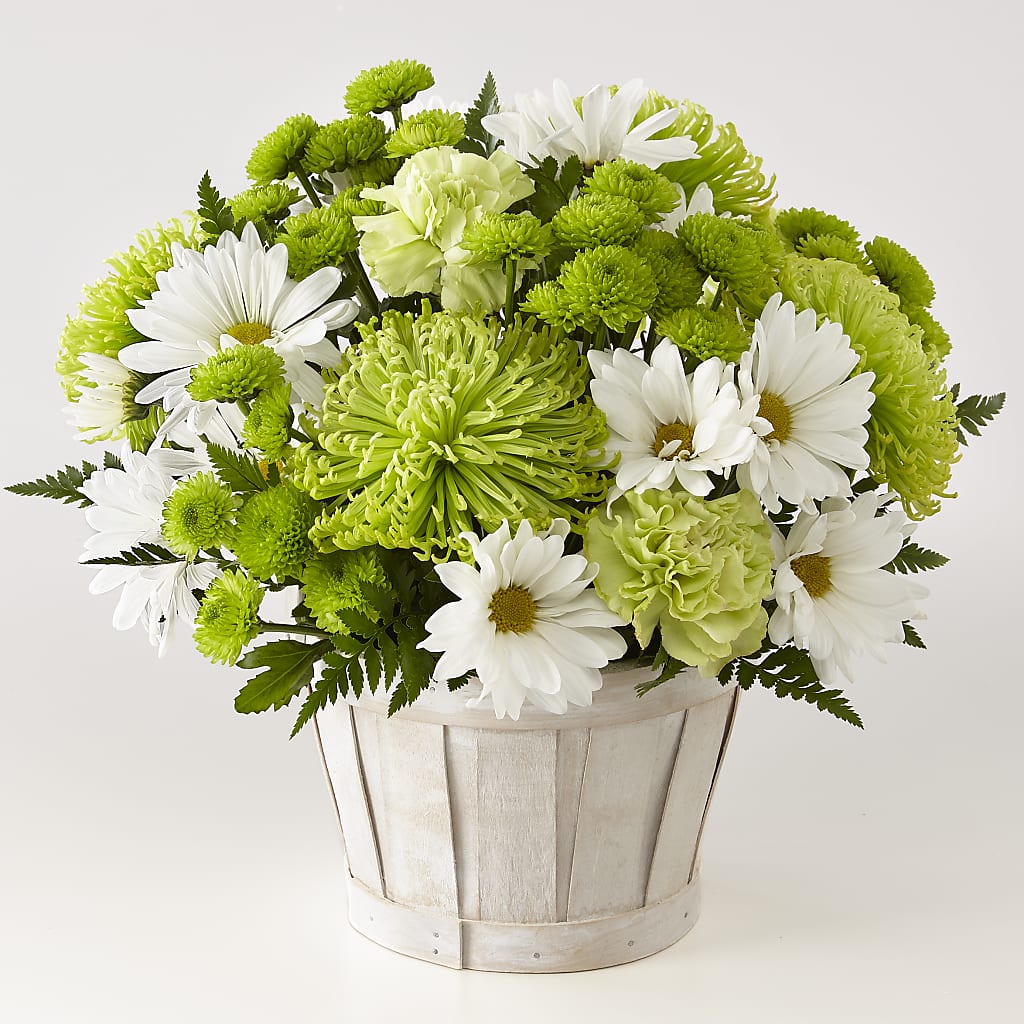 Lucky Charm Basket (Standard) – POTTING BENCH FLORIST & GIFTS, Fairhaven MA