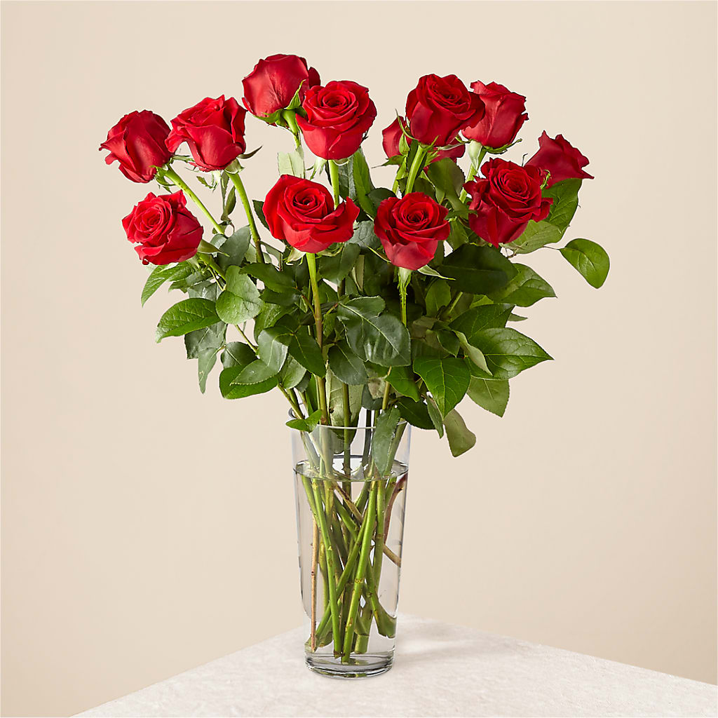 Long Stem Red Rose Bouquet – POTTING BENCH FLORIST & GIFTS, Fairhaven MA