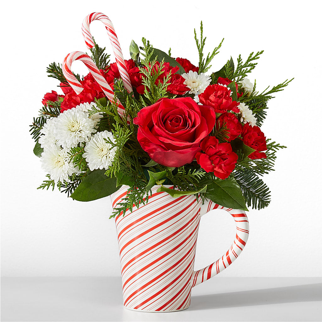 Peppermint Swirl Mug – POTTING BENCH FLORIST & GIFTS, Fairhaven MA