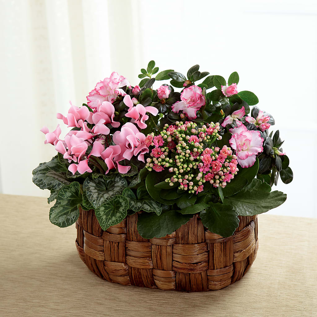 Pink Assortment – POTTING BENCH FLORIST & GIFTS, Fairhaven MA