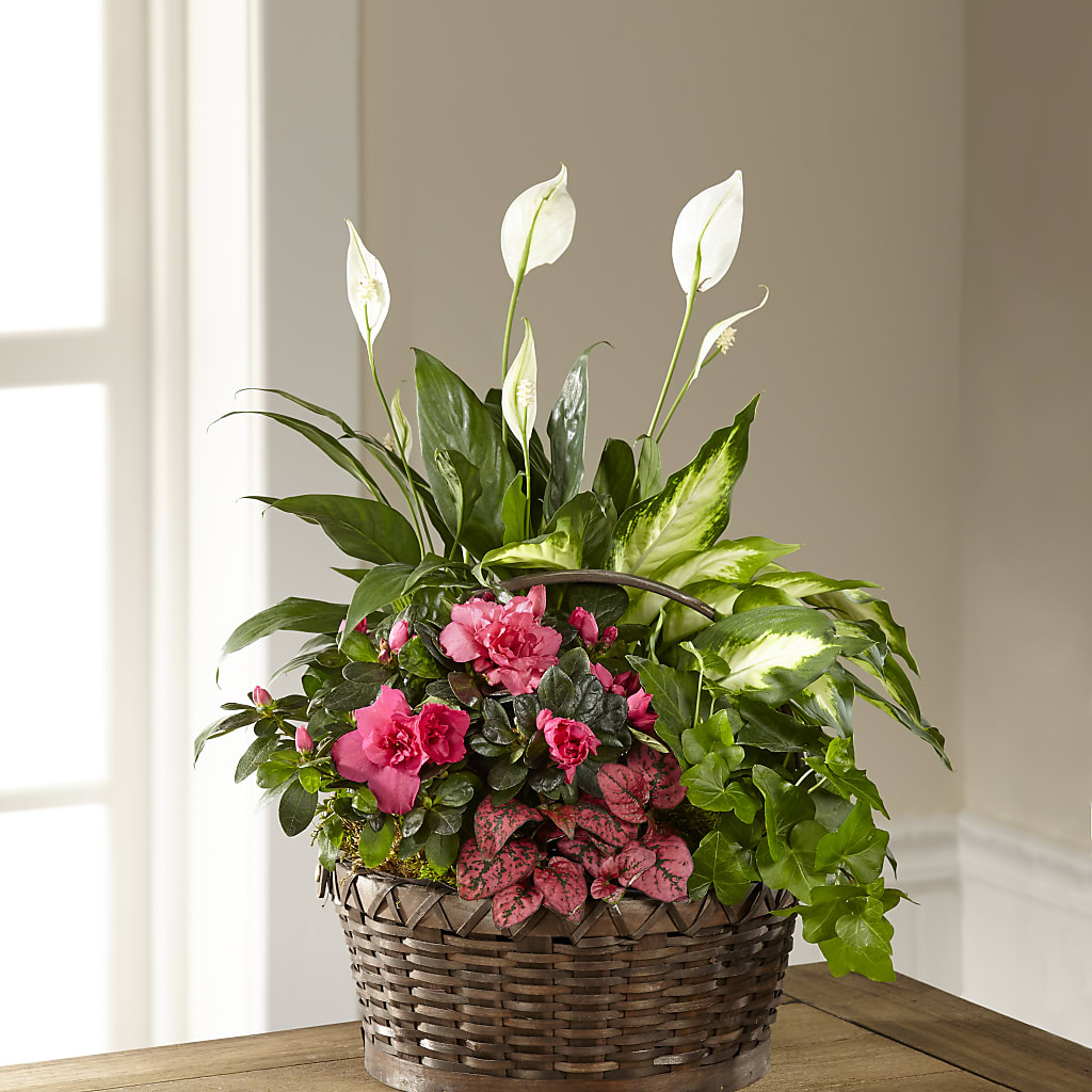Dream in Pink Dishgarden – POTTING BENCH FLORIST & GIFTS, Fairhaven MA
