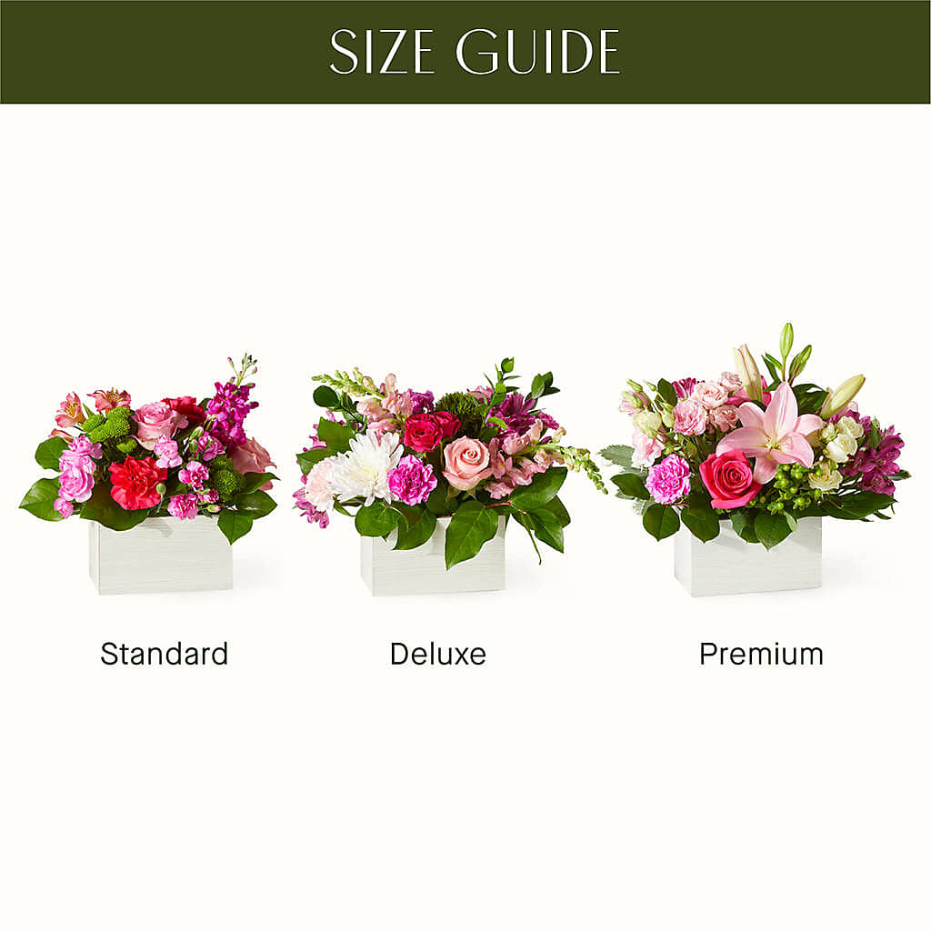 Sweetberry Box – A Florist Original – POTTING BENCH FLORIST & GIFTS, Fairhaven MA