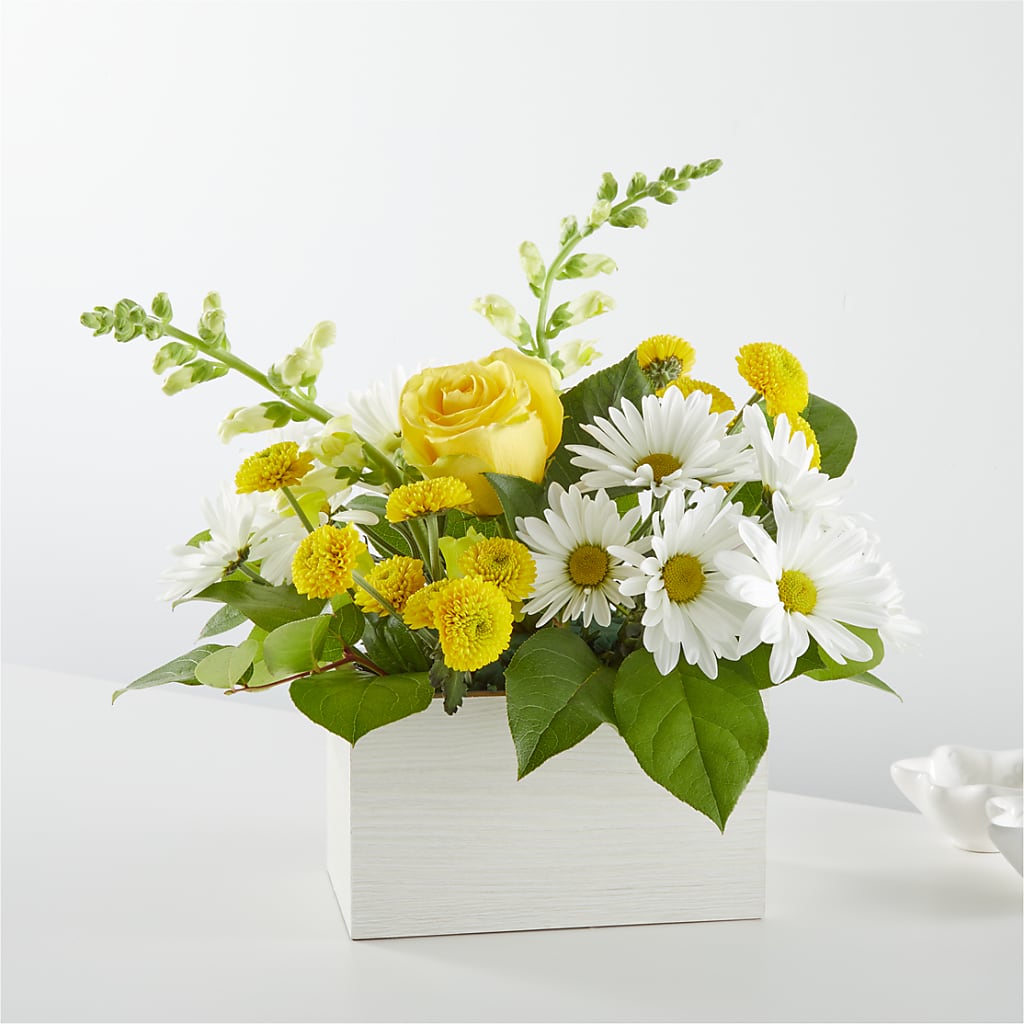 Sun Salutation Box Bouquet – POTTING BENCH FLORIST & GIFTS, Fairhaven MA