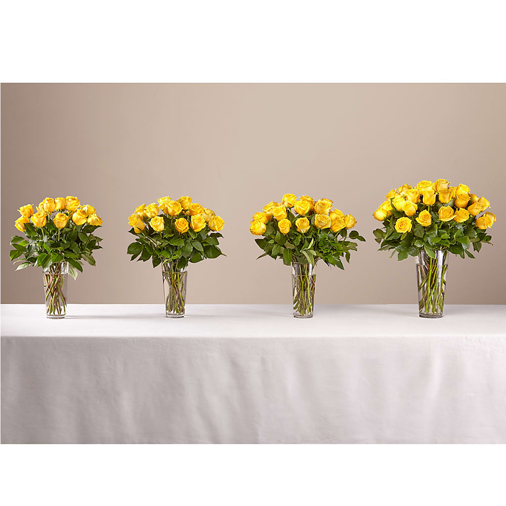Long Stem Yellow Rose Bouquet – POTTING BENCH FLORIST & GIFTS, Fairhaven MA