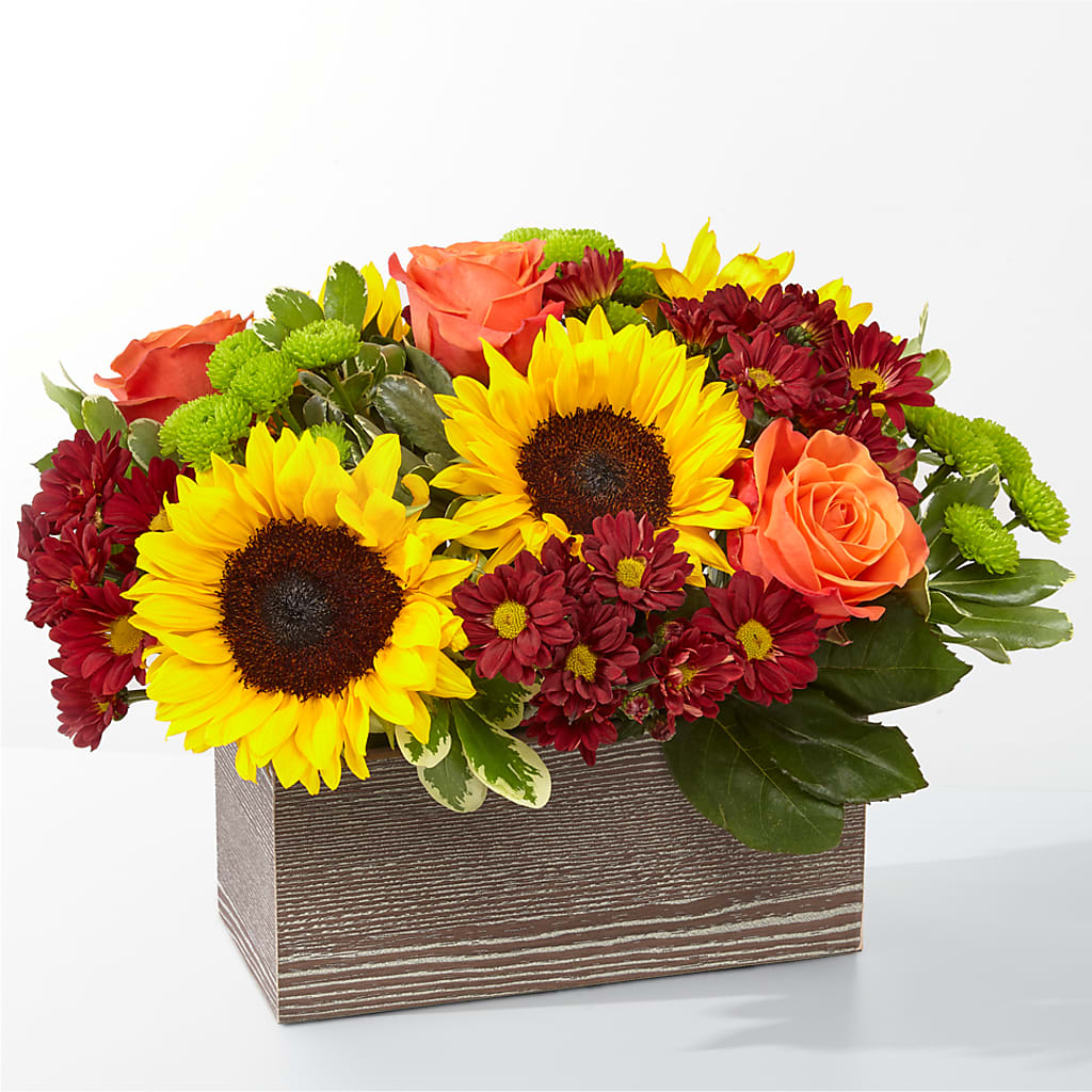 Happy Harvest Garden – POTTING BENCH FLORIST & GIFTS, Fairhaven MA