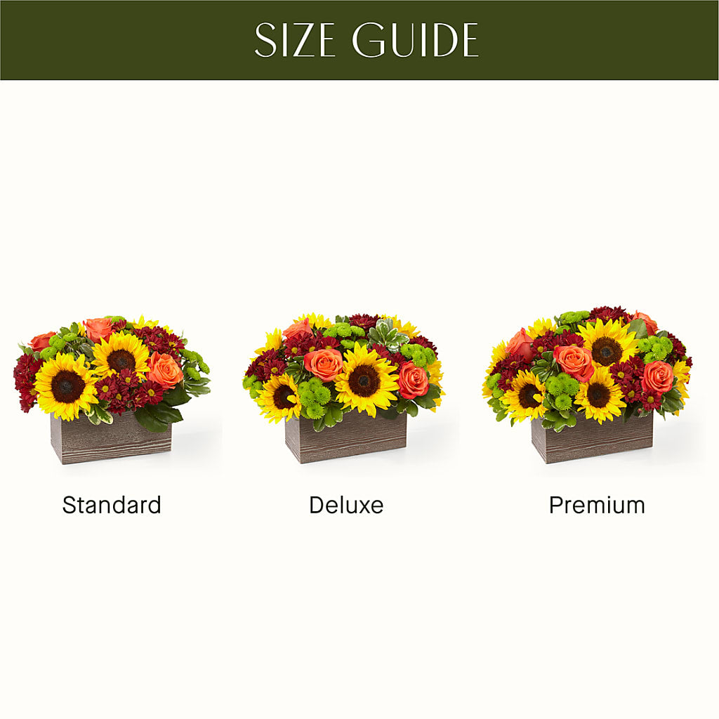 Happy Harvest Garden – POTTING BENCH FLORIST & GIFTS, Fairhaven MA