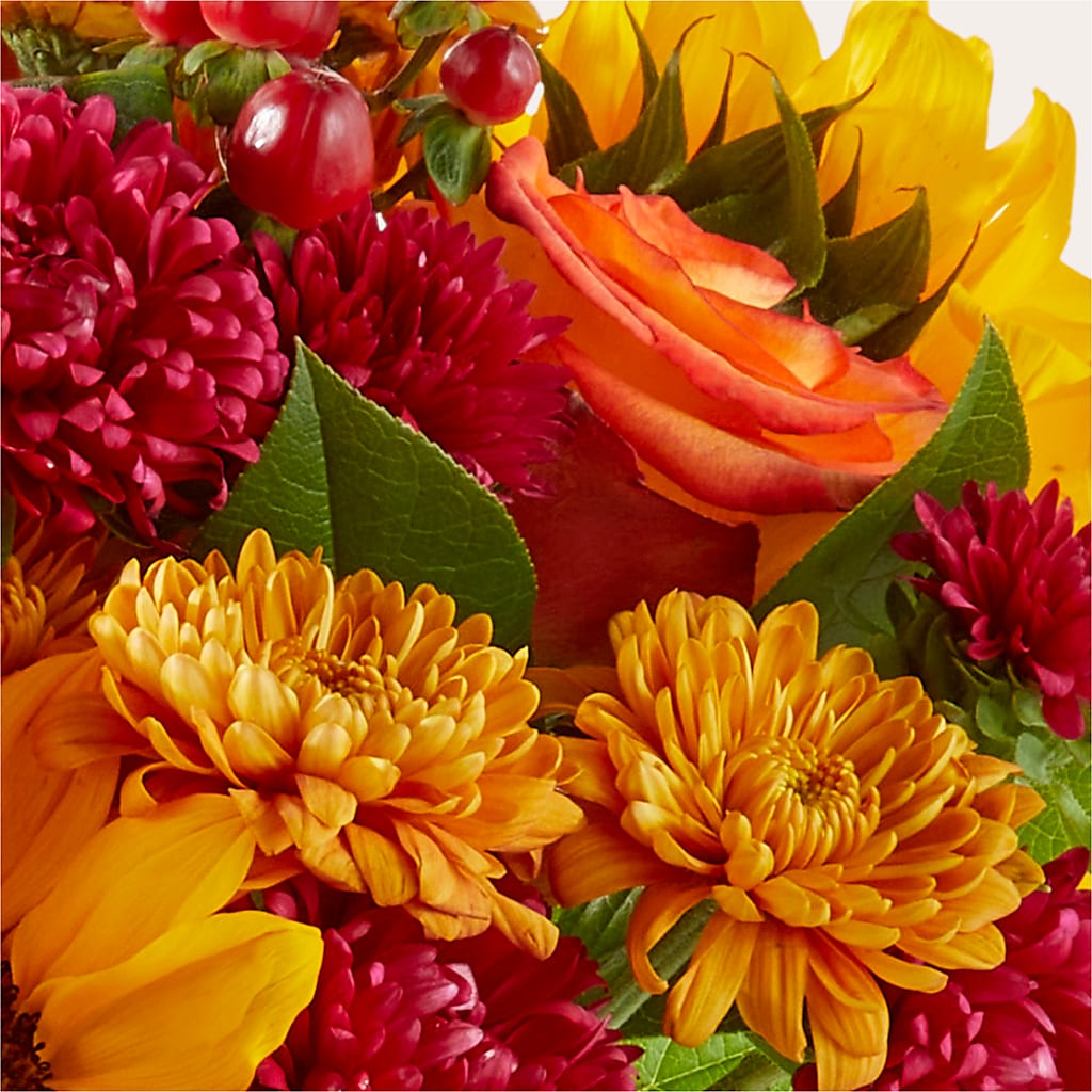 Sweater Season - A Florist Original – POTTING BENCH FLORIST & GIFTS, Fairhaven MA