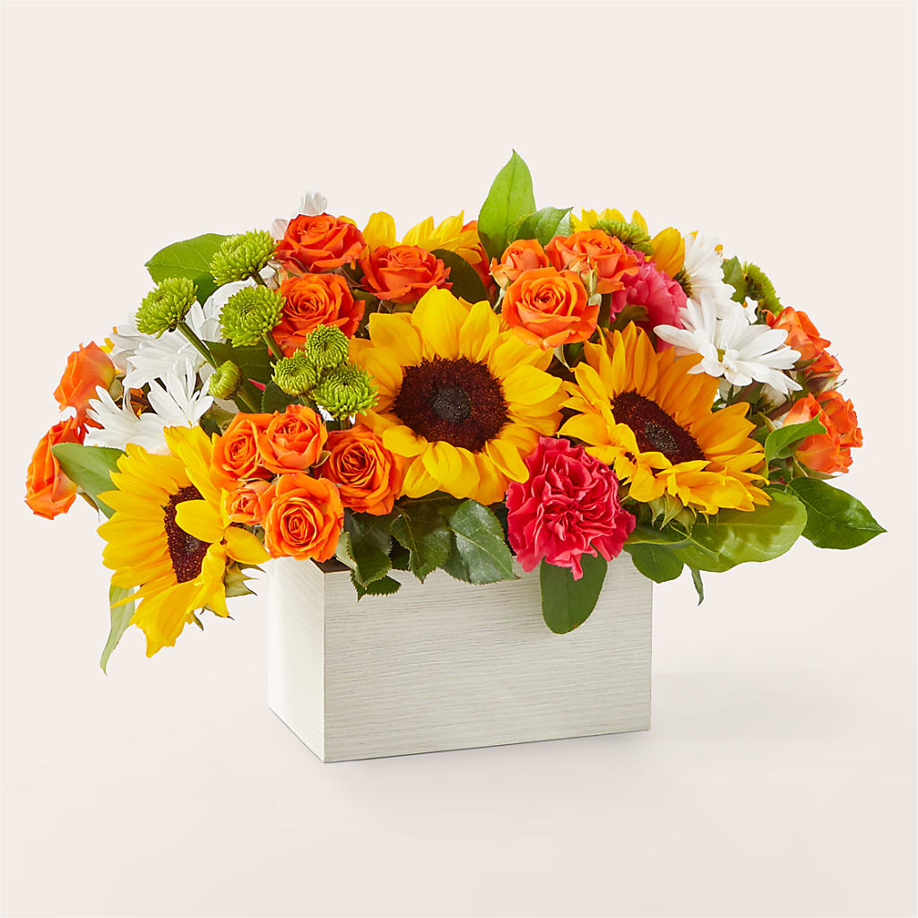 Sun-drenched Blooms Box Bouquet – POTTING BENCH FLORIST & GIFTS, Fairhaven MA