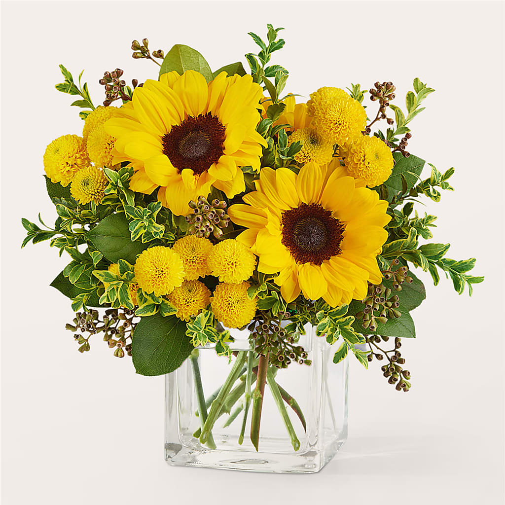 Luminous Morning Bouquet – POTTING BENCH FLORIST & GIFTS, Fairhaven MA