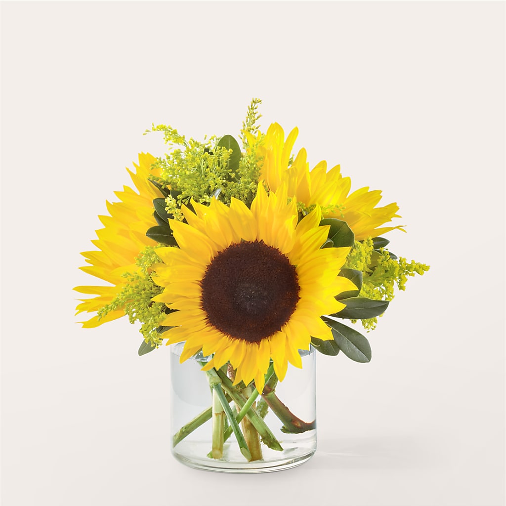 Beaming Sunflower Bouquet – POTTING BENCH FLORIST & GIFTS, Fairhaven MA