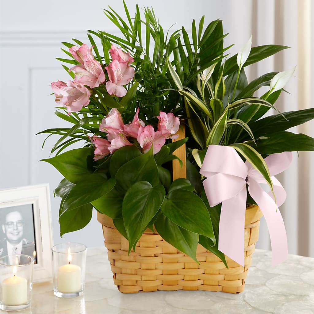 Living Spirit Dishgarden – POTTING BENCH FLORIST & GIFTS, Fairhaven MA