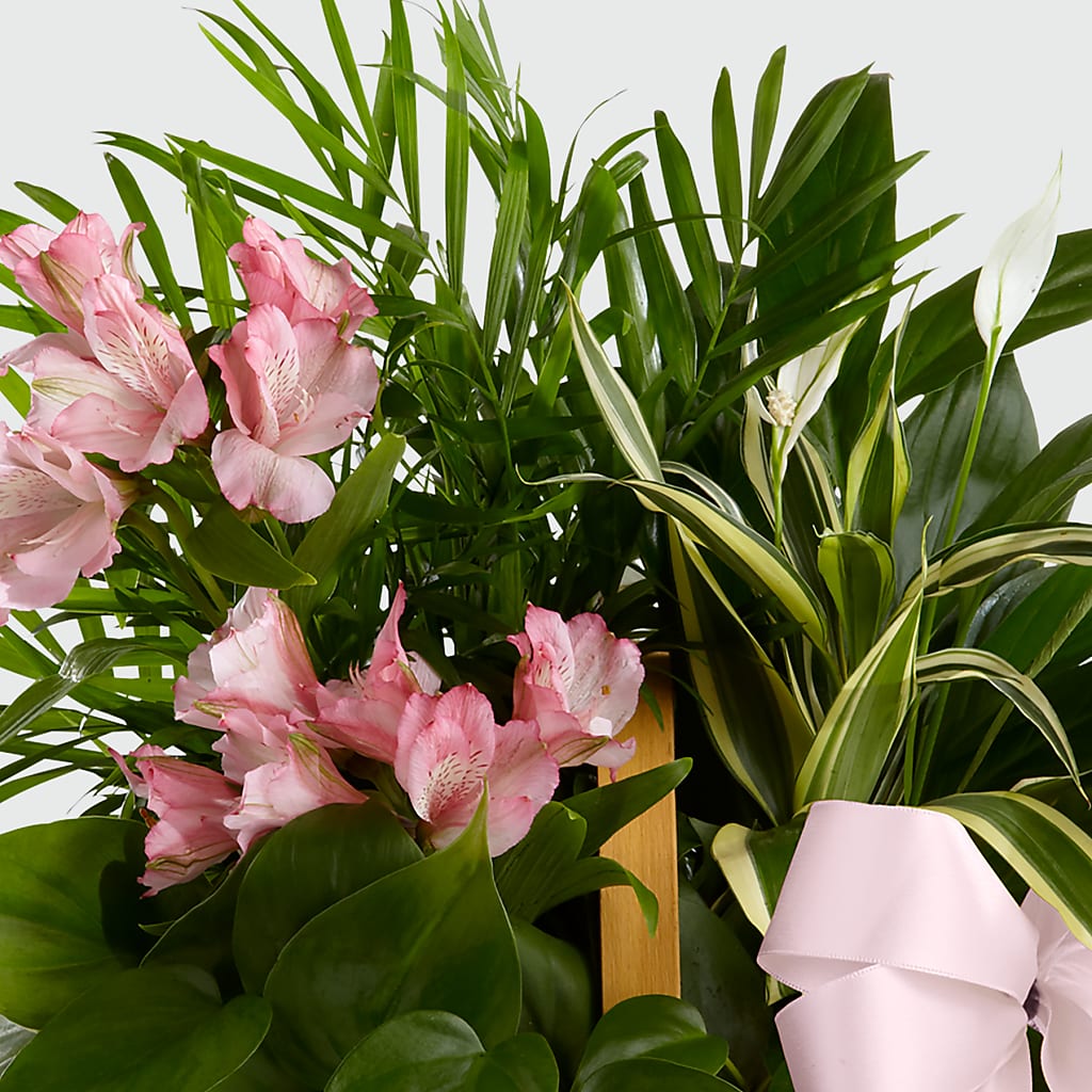 Living Spirit Dishgarden – POTTING BENCH FLORIST & GIFTS, Fairhaven MA