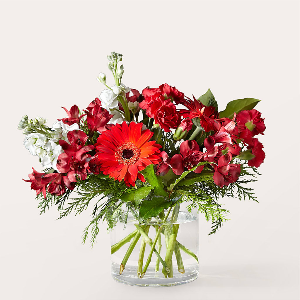 Holidaisy Bouquet – POTTING BENCH FLORIST & GIFTS, Fairhaven MA