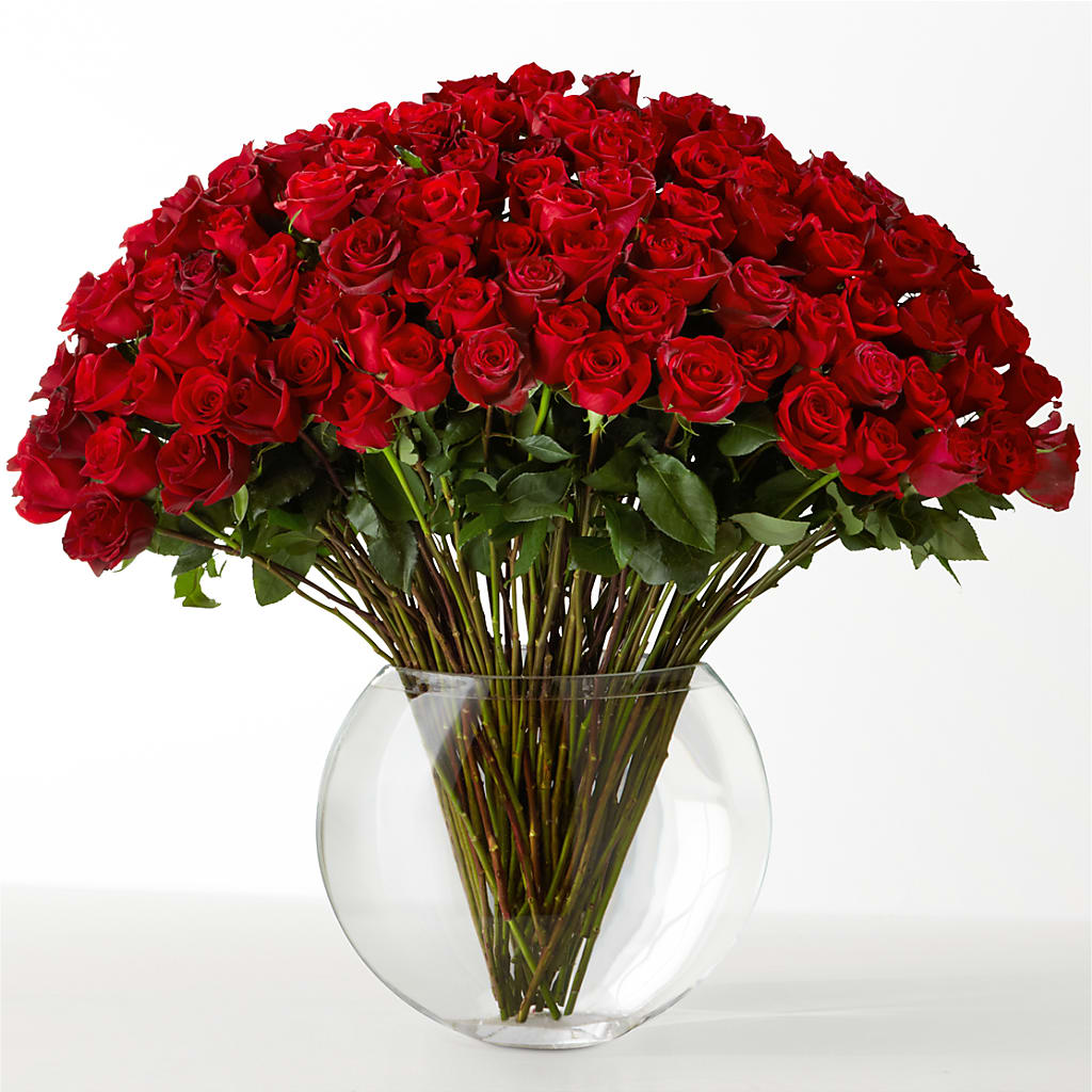 The Idealist – POTTING BENCH FLORIST & GIFTS, Fairhaven MA