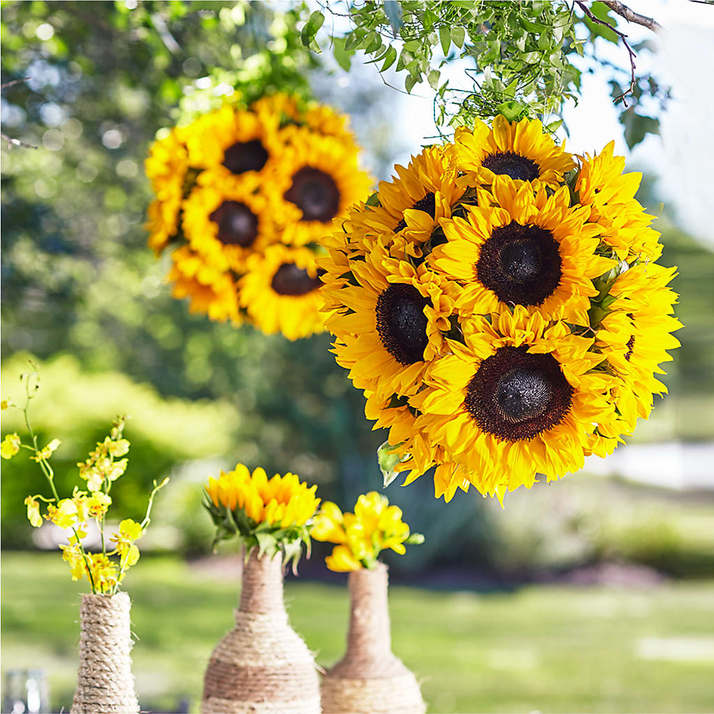 Sublime Garden Hanging Arrangement – POTTING BENCH FLORIST & GIFTS, Fairhaven MA