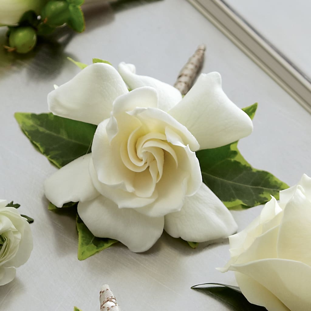 Gardenia Boutonniere – POTTING BENCH FLORIST & GIFTS, Fairhaven MA