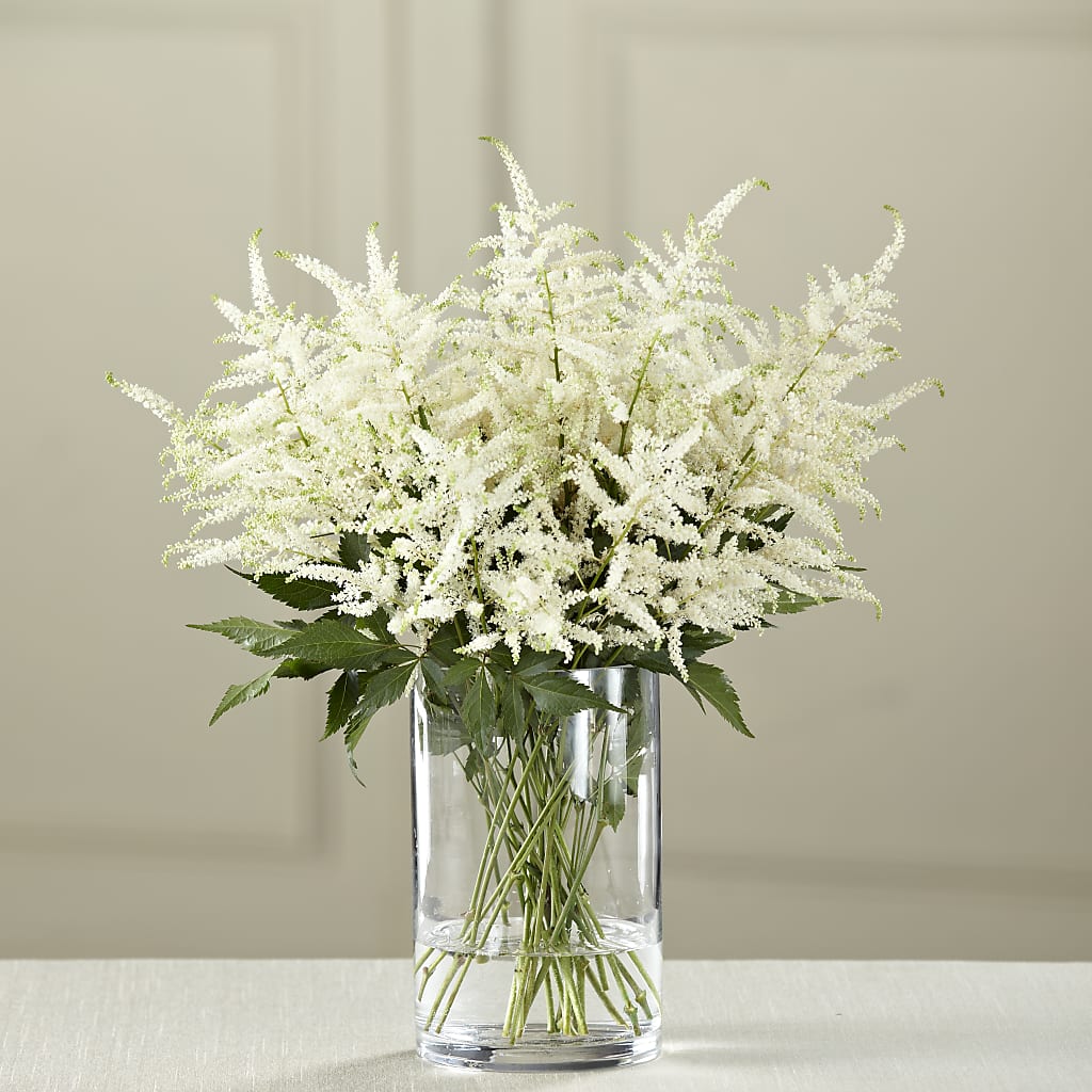 White Astilbe Bouquet – POTTING BENCH FLORIST & GIFTS, Fairhaven MA