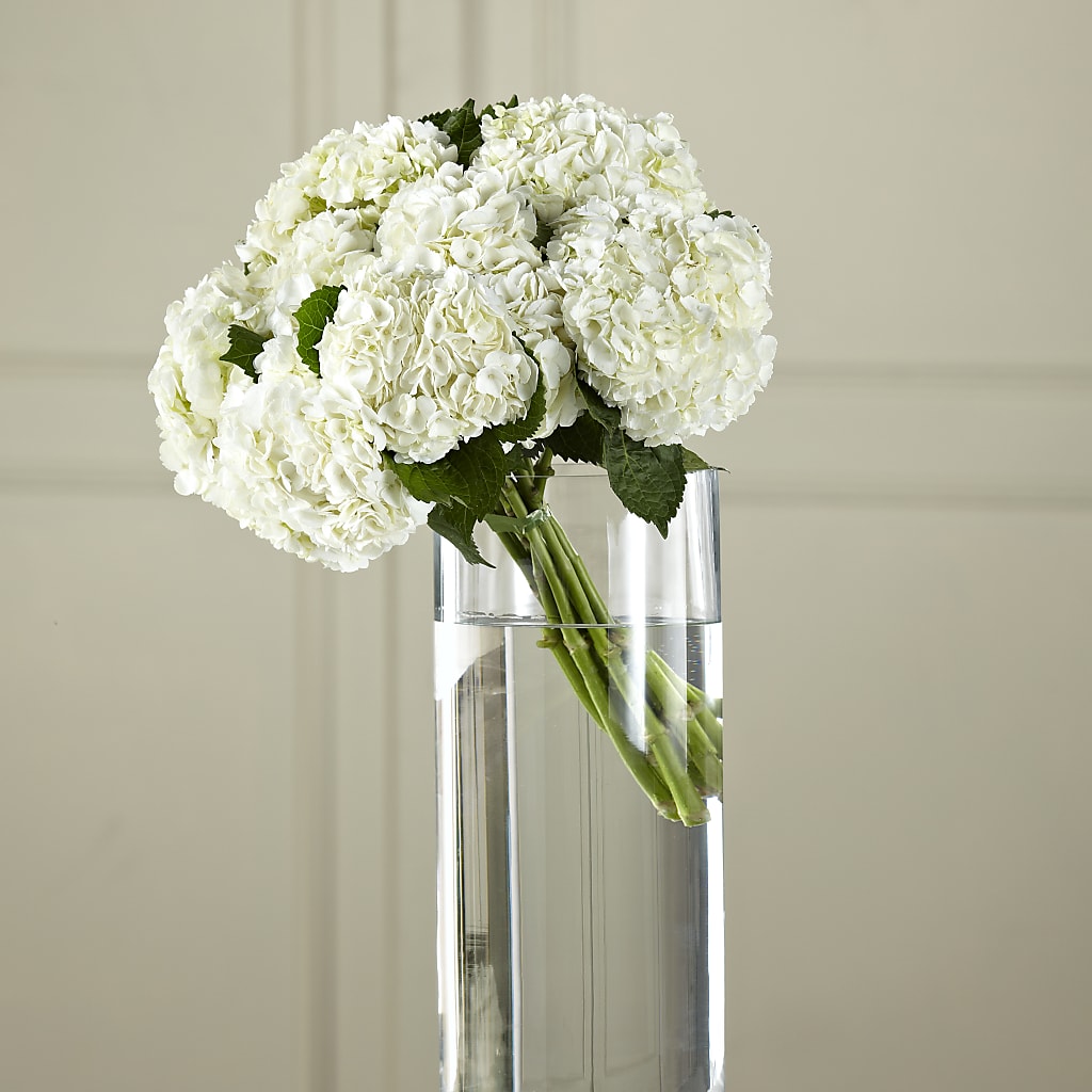 White Hydrangea Hand-Tied Bouquet – POTTING BENCH FLORIST & GIFTS, Fairhaven MA