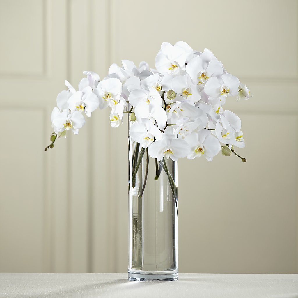 White Phalaenopsis Bouquet – POTTING BENCH FLORIST & GIFTS, Fairhaven MA
