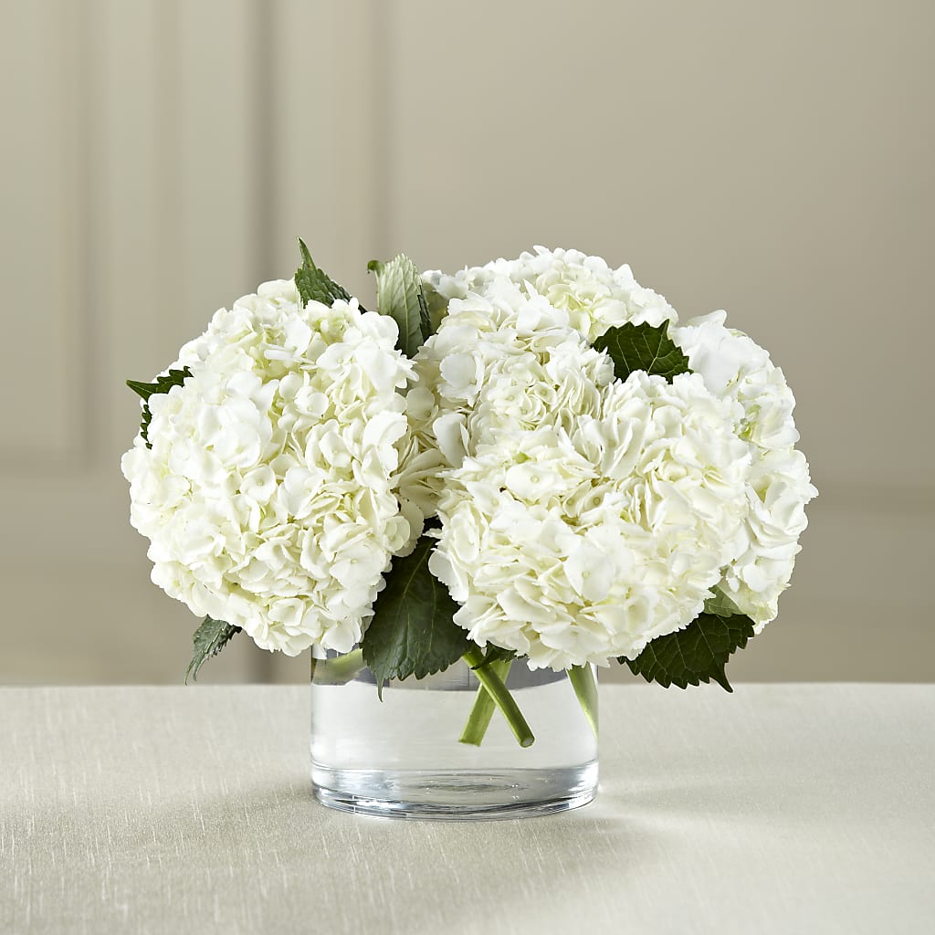White Hydrangea Bouquet – POTTING BENCH FLORIST & GIFTS, Fairhaven MA