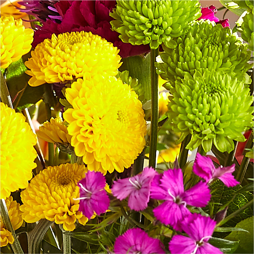 Bold & Bright – A Florist Original – POTTING BENCH FLORIST & GIFTS, Fairhaven MA