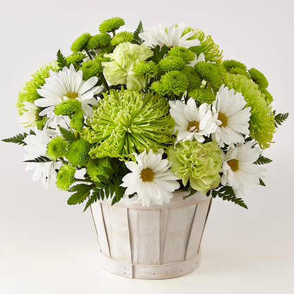 Lucky Charm Basket (Standard) – POTTING BENCH FLORIST & GIFTS, Fairhaven MA