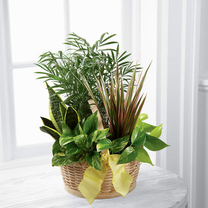 French Garden – POTTING BENCH FLORIST & GIFTS, Fairhaven MA
