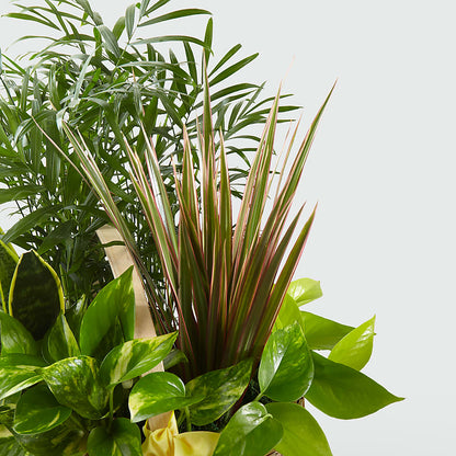 French Garden – POTTING BENCH FLORIST & GIFTS, Fairhaven MA