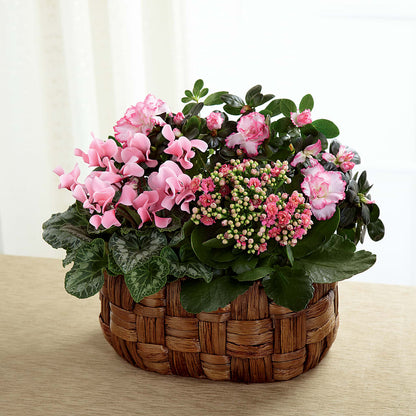 Pink Assortment – POTTING BENCH FLORIST & GIFTS, Fairhaven MA