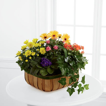 Gentle Blossoms Basket – POTTING BENCH FLORIST & GIFTS, Fairhaven MA