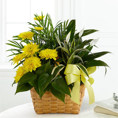 Loving Light Dishgarden – POTTING BENCH FLORIST & GIFTS, Fairhaven MA