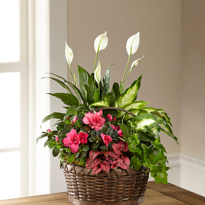 Dream in Pink Dishgarden – POTTING BENCH FLORIST & GIFTS, Fairhaven MA