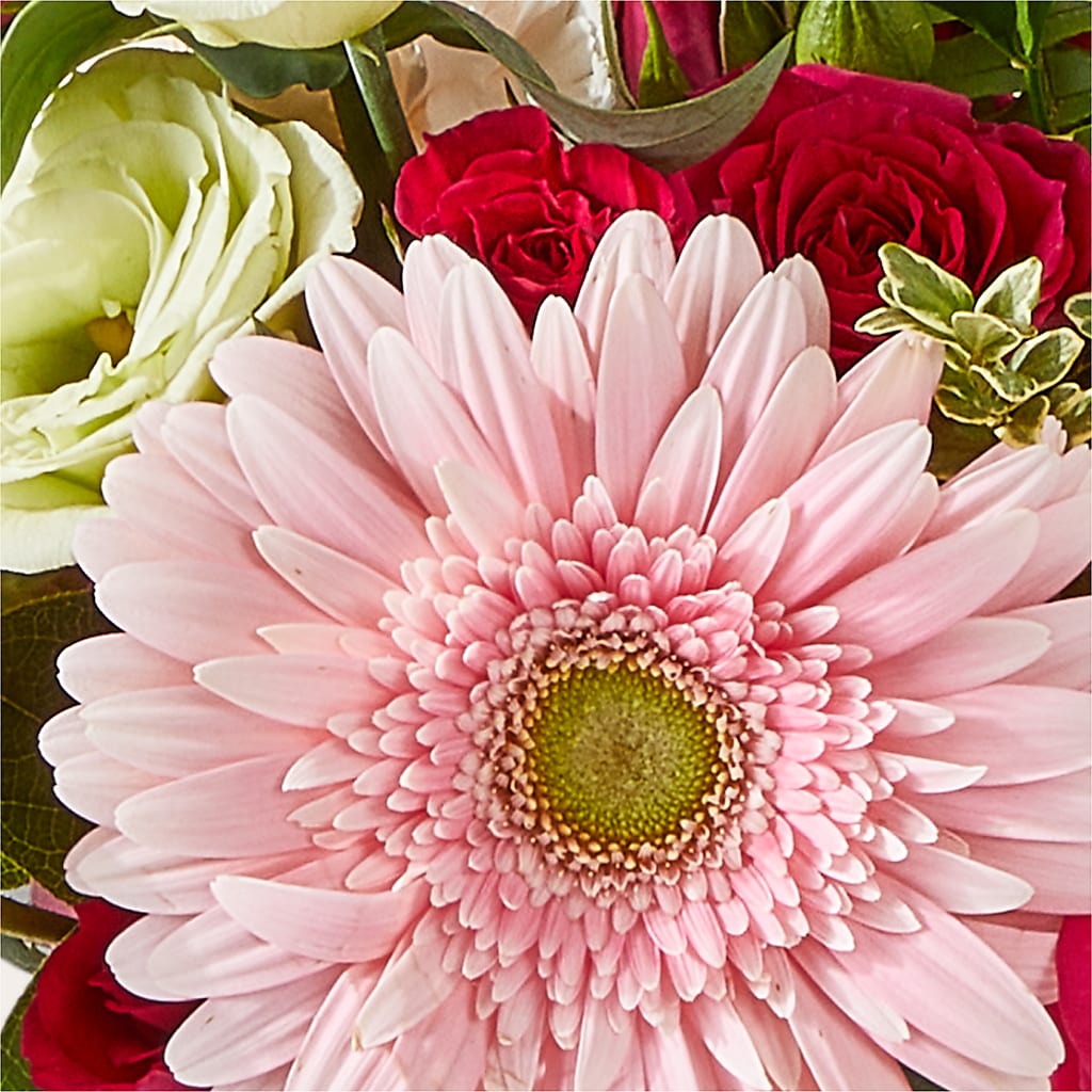 Too Cute Bouquet – POTTING BENCH FLORIST & GIFTS, Fairhaven MA