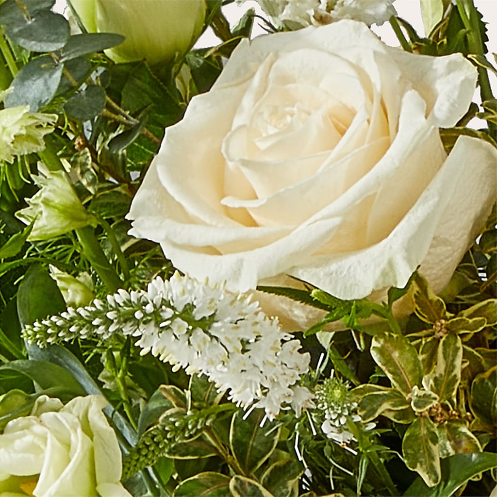 Cashmere Bouquet – POTTING BENCH FLORIST & GIFTS, Fairhaven MA
