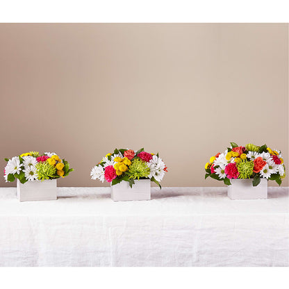 Sorbet Bouquet – POTTING BENCH FLORIST & GIFTS, Fairhaven MA