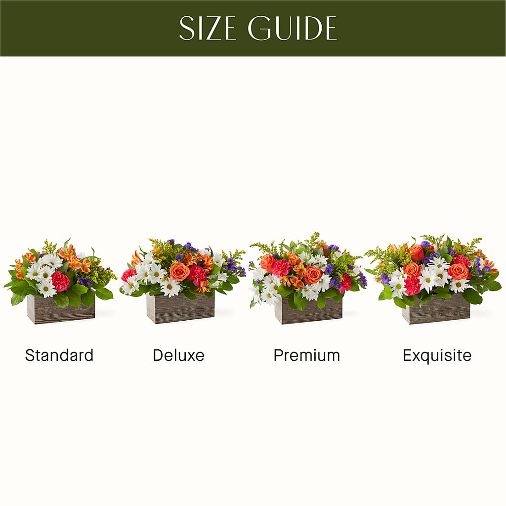 Oopsie Daisy Box Bouquet – POTTING BENCH FLORIST & GIFTS, Fairhaven MA