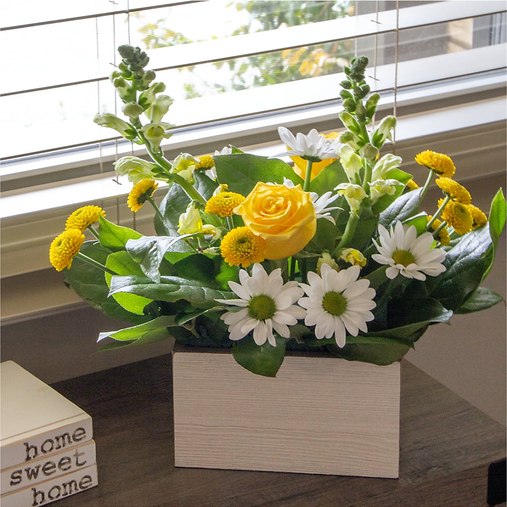 Sun Salutation Box Bouquet – POTTING BENCH FLORIST & GIFTS, Fairhaven MA