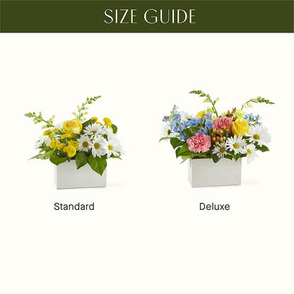 Sun Salutation Box Bouquet – POTTING BENCH FLORIST & GIFTS, Fairhaven MA
