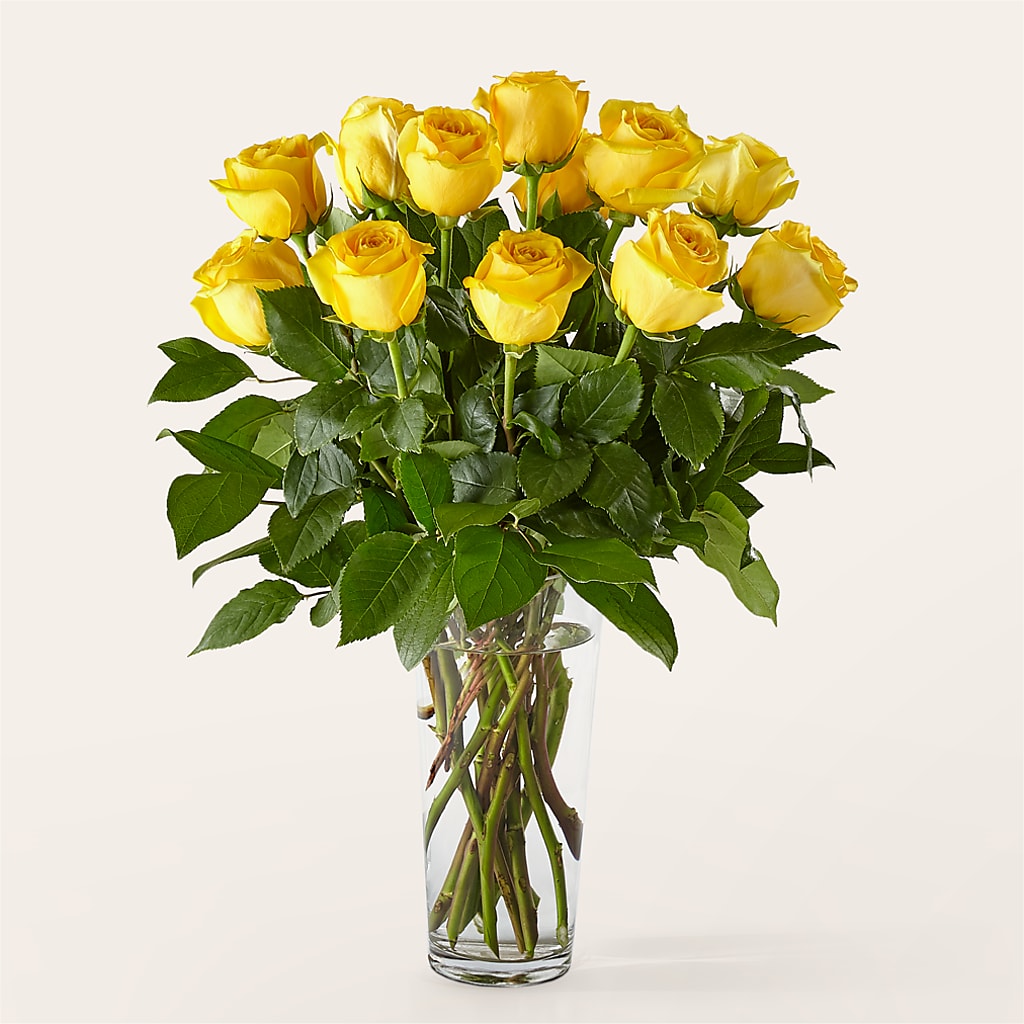Long Stem Yellow Rose Bouquet – POTTING BENCH FLORIST & GIFTS, Fairhaven MA