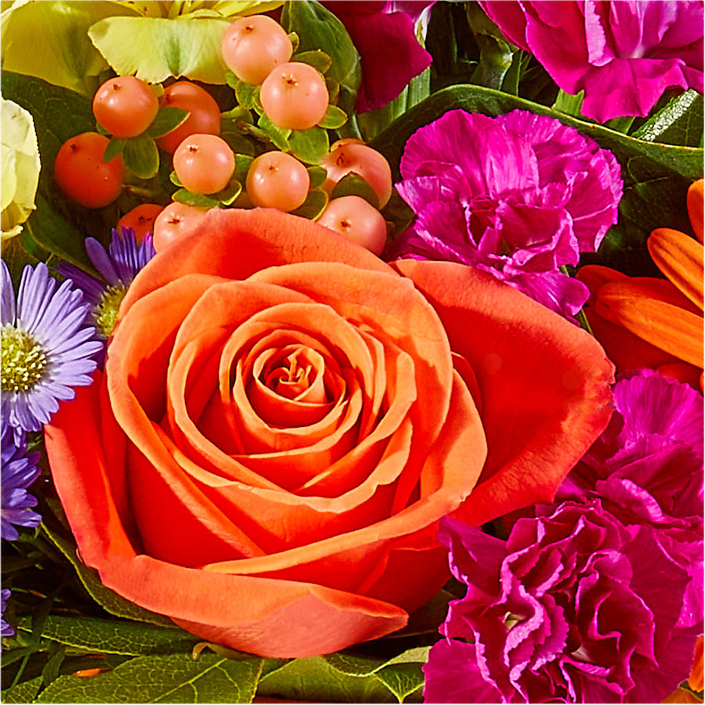 Tricks & Treats Pumpkin – POTTING BENCH FLORIST & GIFTS, Fairhaven MA
