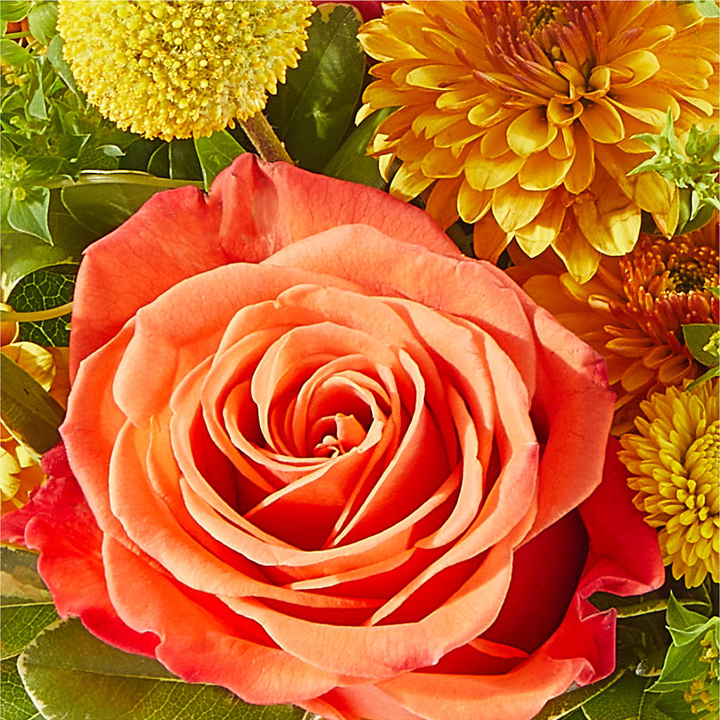 Gourdgeous Pumpkin – POTTING BENCH FLORIST & GIFTS, Fairhaven MA