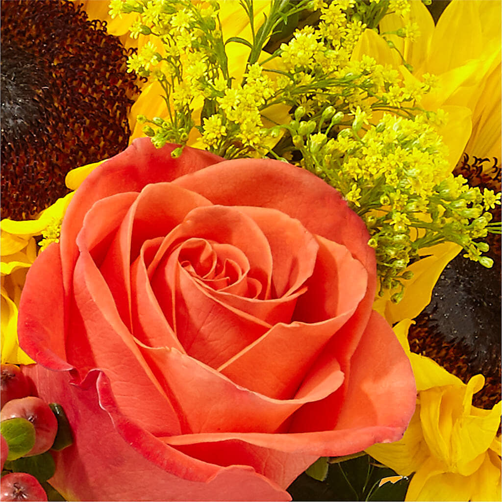 Pick of the Patch Pumpkin Bouquet – POTTING BENCH FLORIST & GIFTS, Fairhaven MA