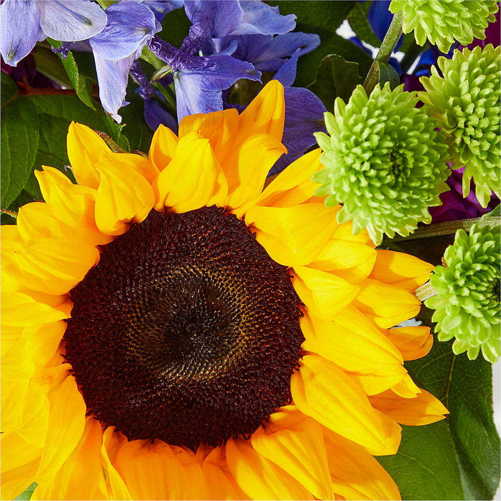 Catching Rays Bouquet – POTTING BENCH FLORIST & GIFTS, Fairhaven MA