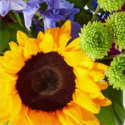 Catching Rays Bouquet – POTTING BENCH FLORIST & GIFTS, Fairhaven MA