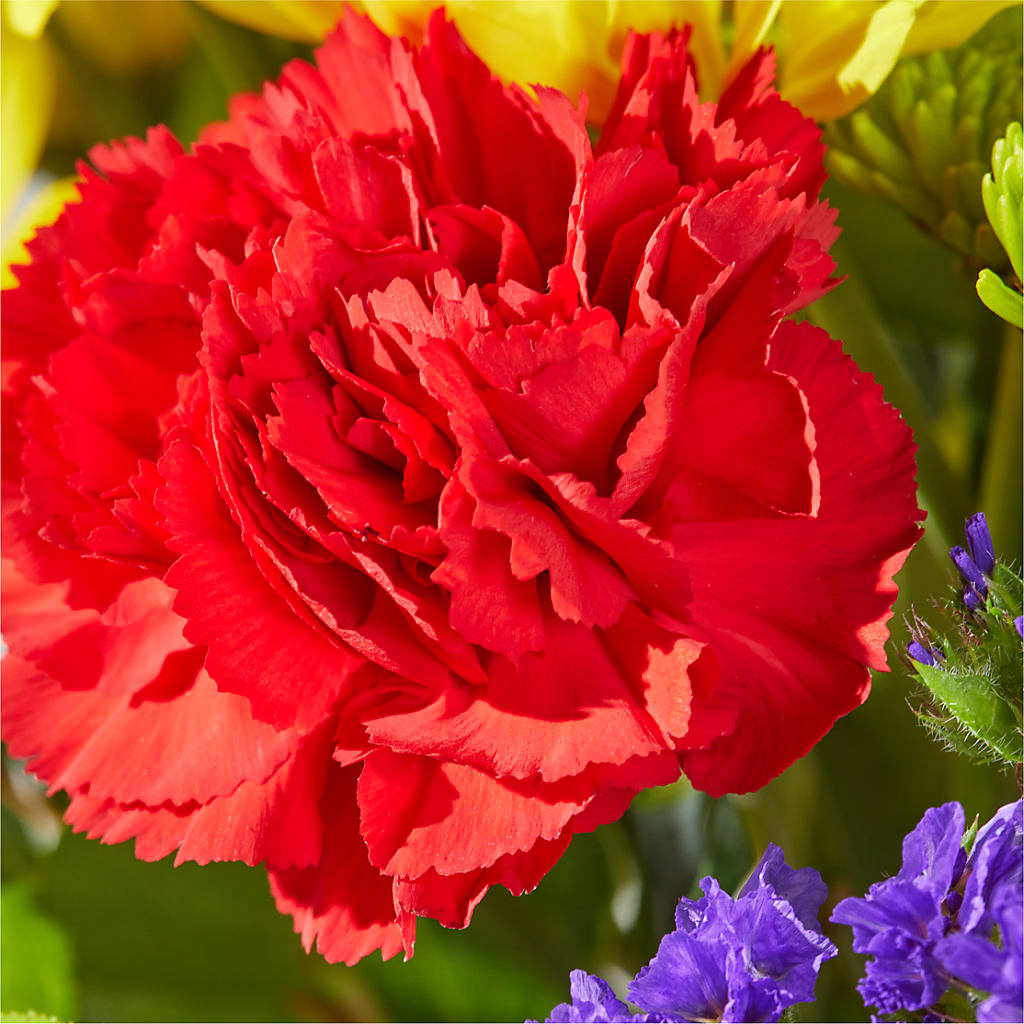 Brighter Days Bouquet – POTTING BENCH FLORIST & GIFTS, Fairhaven MA
