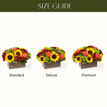 Happy Harvest Garden – POTTING BENCH FLORIST & GIFTS, Fairhaven MA