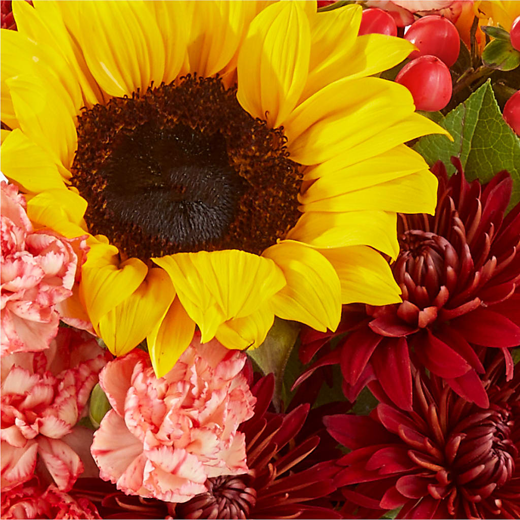 Fresh Cider Bouquet – POTTING BENCH FLORIST & GIFTS, Fairhaven MA