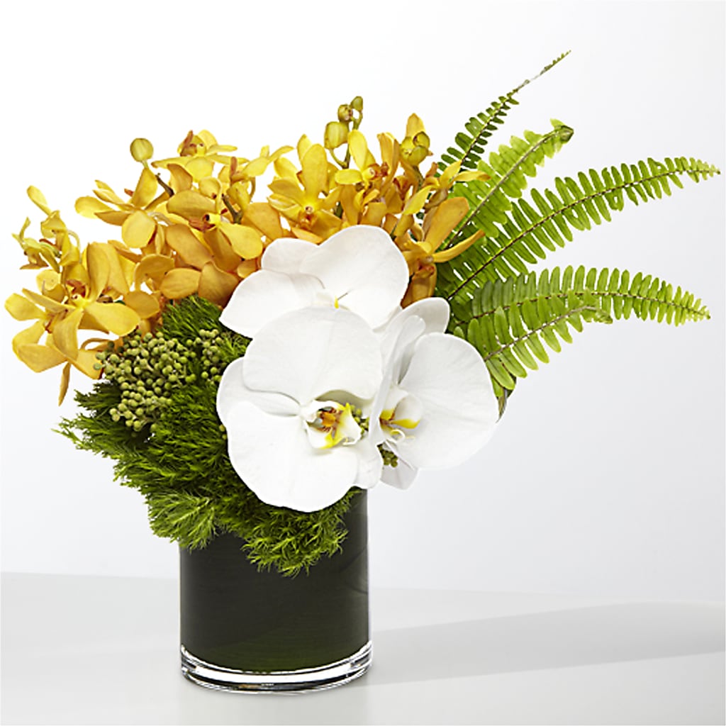 The Tropics – POTTING BENCH FLORIST & GIFTS, Fairhaven MA