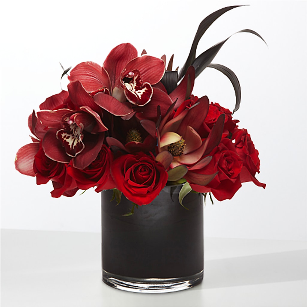 The Eclipse – POTTING BENCH FLORIST & GIFTS, Fairhaven MA