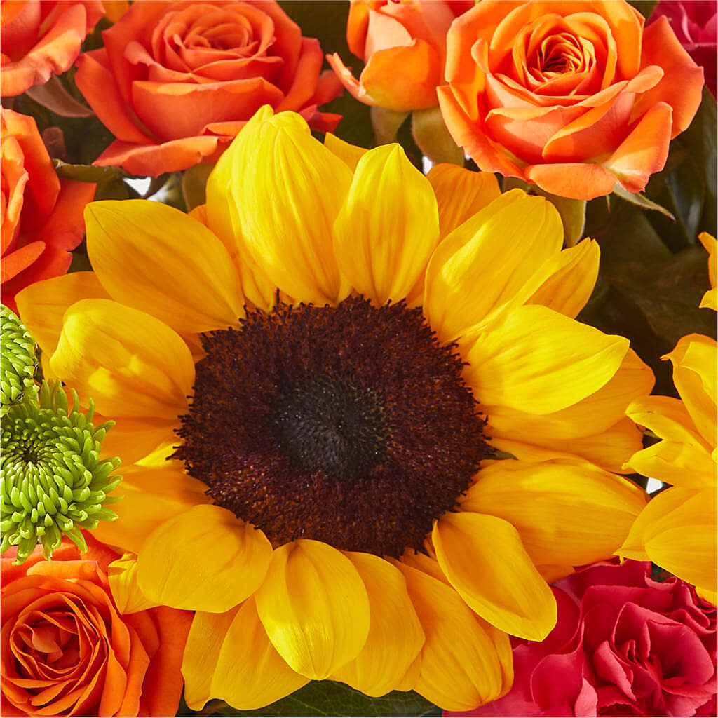 Sun-drenched Blooms Box Bouquet – POTTING BENCH FLORIST & GIFTS, Fairhaven MA